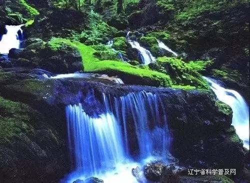 天堂契约